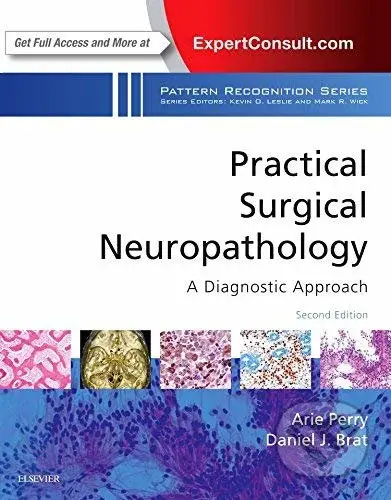 Practical Surgical Neuropathology: A Diagnostic Approach - kniha z kategorie Medicína