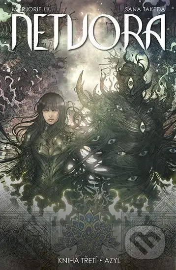 Netvora 3: Azyl - Marjorie Liu, Sana Takeda (Ilustrácie) - kniha z kategorie Komiksy