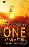 One Year After (Die Welt ohne Strom) - William R. Forstchen - kniha z kategorie Thrillery