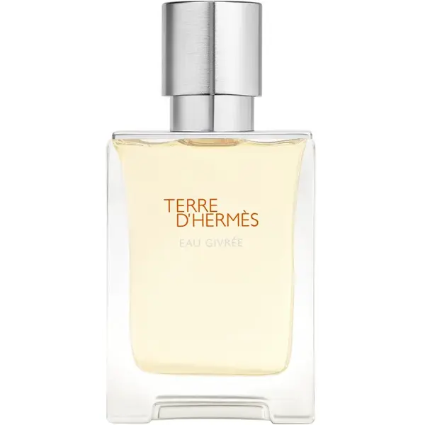 HERMÈS Terre d’Hermès Eau Givrée parfémovaná voda plnitelná pro muže 50 ml