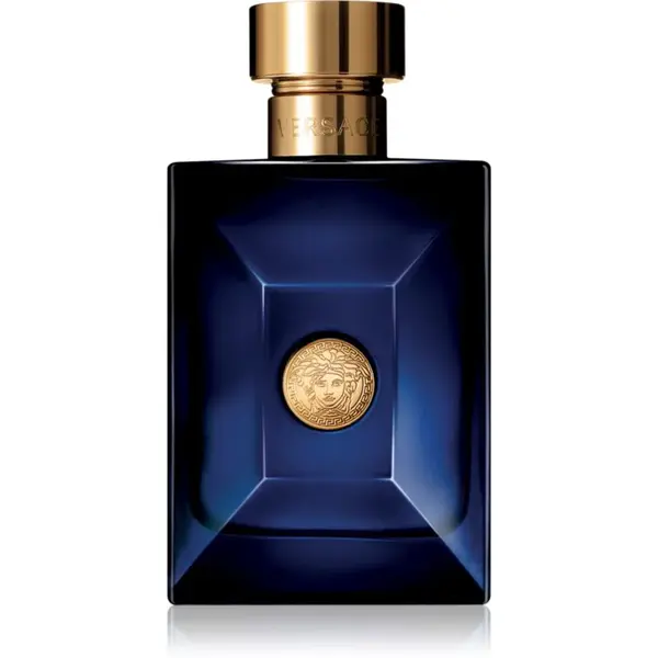 Versace Dylan Blue Pour Homme toaletní voda pro muže 100 ml