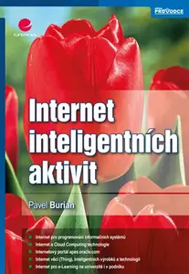 E-kniha: Internet inteligentních aktivit od Burian Pavel