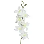 Umělá květina Orchidej 64 cm, krémová