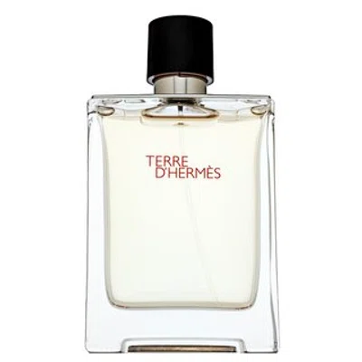 Hermès Terre D'Hermes toaletní voda pro muže 100 ml