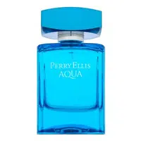 Perry Ellis Aqua toaletní voda pro muže 100 ml