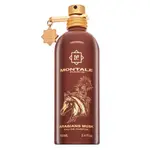 Montale Arabians Musk parfémovaná voda unisex 100 ml