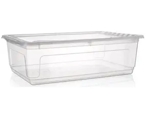 Úložný box Bea 30 l, průhledný