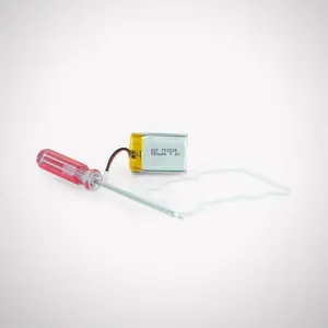 SportDog Baterie do vysílačky pro SD-1825E