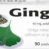 GINGIO 40 mg, 90 tablet