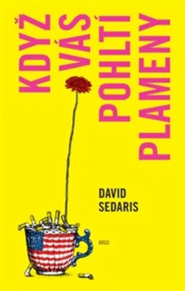 Když vás pohltí plameny - David Sedaris