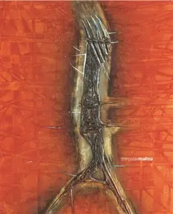 Miroslav Malina. Tulák po hvězdách - Miroslav Malina