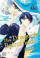 Dragon's Betrothed, Vol. 1 - Meguru Hinohara