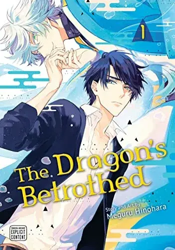 Dragon's Betrothed, Vol. 1 - Meguru Hinohara