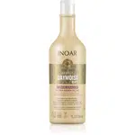 INOAR Absolut Daymoist CLR™ hĺbkovo hydratačný kondicionér pre suché a farbené vlasy 1000 ml