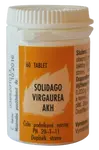 AKH Solidago Virgaurea 60 tabliet