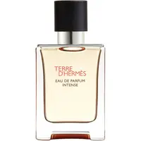 HERMÈS Terre d’Hermès Eau de Parfum Intense parfumovaná voda intense pre mužov 50 ml
