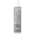 Alama Professional Repair fluid na vlasy 250 ml