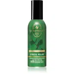 Bath & Body Works Eucalyptus bytový sprej 42.5 g