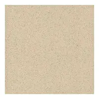 Technická dlažba SDR beige 30,5/30,5