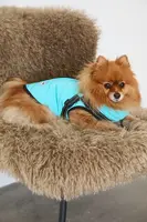 Bunda pro mazlíčka Medicine