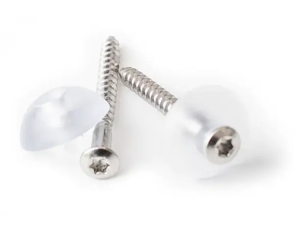 Gutta Vrut V2A, 4,5 x 45 mm, plast. podl., 20 ks
