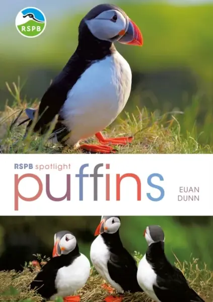 RSPB Spotlight: Puffins - Euan Dunn