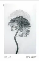 Vše o slunci - Luděk Čertík