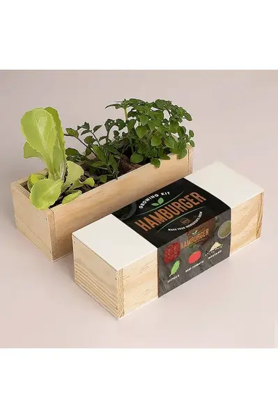 Sada na pěstování rostlin RESETEA Hamburger Growing Kit 21 x 7,8 x 6,5 cm více barev