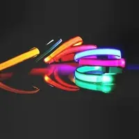 Reedog Colour svíticí obojek pro malé, střední a velké psy