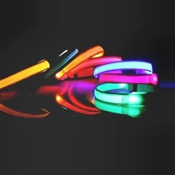 Reedog Colour svíticí obojek pro malé, střední a velké psy