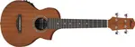 Ibanez UEW5E Natural