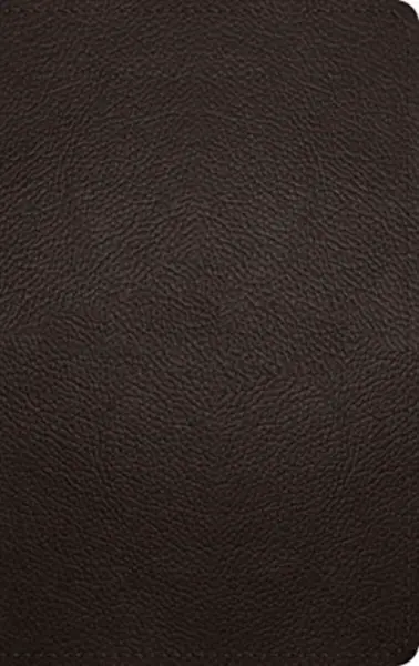 ESV Large Print Personal Size Bible, Red Letter