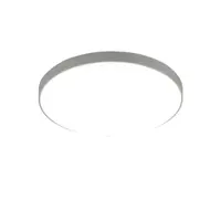 Reality Spica stropné svetlo titan r67851187 RER67851187