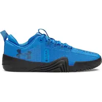 Under Armour TRIBASE REIGN 6 Pánska tréningová obuv, modrá, veľkosť 42.5