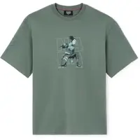 CELIO LJENARU Pánské tričko, zelená, velikost