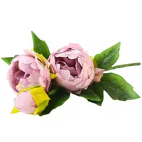 Kytica Paeonia 37cm fialová A2150067