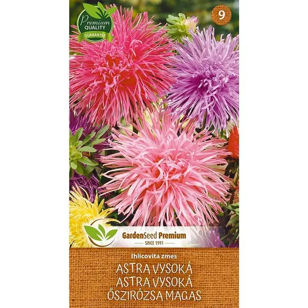 Astra vysoký ihličková zmes