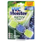 Wc Meister blok do toalety Lesní vůně 45 g