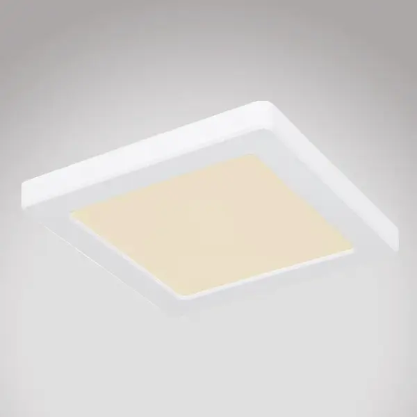Stropnica 12380-12W LED 12W biely PL