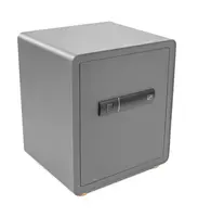 Trezor G21 na otisk prstu 400 x 450 x 350 mm