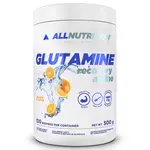 Glutamine Recovery Amino 500g
