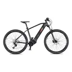 Horské elektrokolo 4EVER Exstream Team 29" S (15,5", 155-165 cm) chameleon/hologram