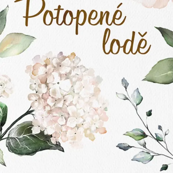 Potopené lodě - Tami Fischer - e-kniha