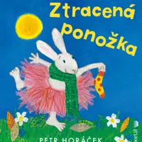 Ztracená ponožka - Petr Horáček