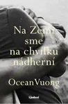 Na Zemi sme na chvíľku nádherní - Ocean Vuong - e-kniha