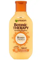 Šampon pro poškozené vlasy Garnier Botanic Therapy Honey - 250 ml