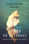 Bouře ve sklenici - Catherine Mann