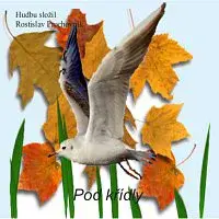 Rostislav Prochovník – Pod křídly