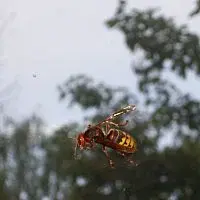 The First Floor Bytes – Sound Pictures