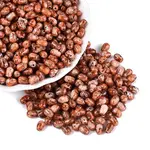 Picasso Glass Seed Beads